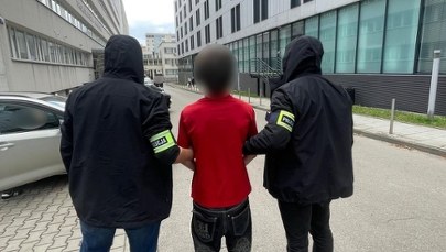 Zabytki Krakowa zniszczone przez wandala. Sprawca zatrzymany na gorącym uczynku