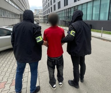 Zabytki Krakowa zniszczone przez wandala. Sprawca zatrzymany na gorącym uczynku