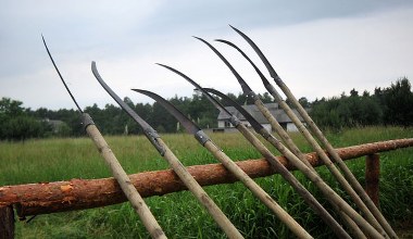 "Zachód był zaskoczony powstaniem styczniowym"