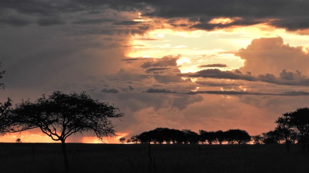Zachód słońca w  Seronera, Serengeti National Park, Tanzania. /Han Olff, University of Groningen /Materiały prasowe