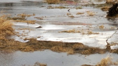 Zachodniopomorskie: Akcja ratunkowa na jeziorze. Lód załamał się pod quadem