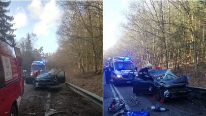 Zachodniopomorskie: Drzewo spadło na samochód. Ranne dwie osoby