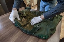 Zachodniopomorskie: Znaleziono pełny mundur niemieckiego leśnika z czasów II wojny światowej