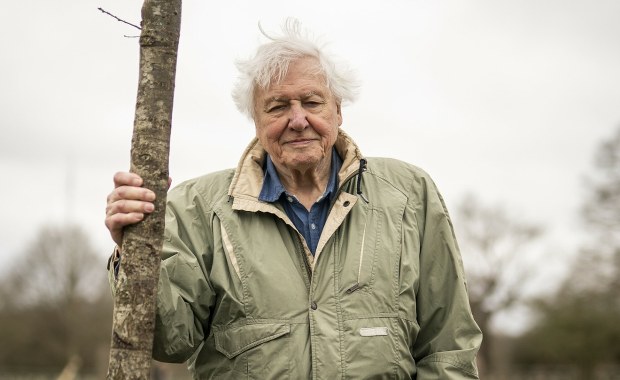 Zaczęło się od jednego amonita… Tak narodziła się kariera Davida Attenborough