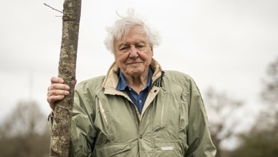Zaczęło się od jednego amonita… Tak narodziła się kariera Davida Attenborough
