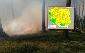 Zaczęło się. Setki zgłoszeń, rośnie zagrożenie w lasach