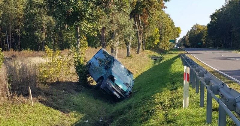 Zaczęło się w niedzielę rano od próby omijania zwierzęcia... /Policja