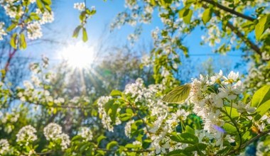 Zacznie się 20 marca o 15:46. Od teraz Słońce będzie z nami dłużej