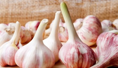 Zacznij przechowywać tak czosnek. Nie zgorzknieje i nie zepsuje się przez wiele miesięcy