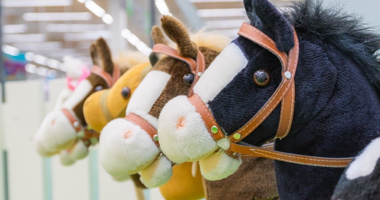Zacznij przygodę z Hobby Horsing w Biedronce! /adobestock /INTERIA.PL