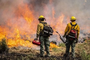 Zaczyna się epoka wielkich pożarów lasów