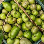 Zaczyna się sezon na te superowoce. Seniorzy powinni jeść, bo chronią serce i wzrok, działają przeciwzapalnie