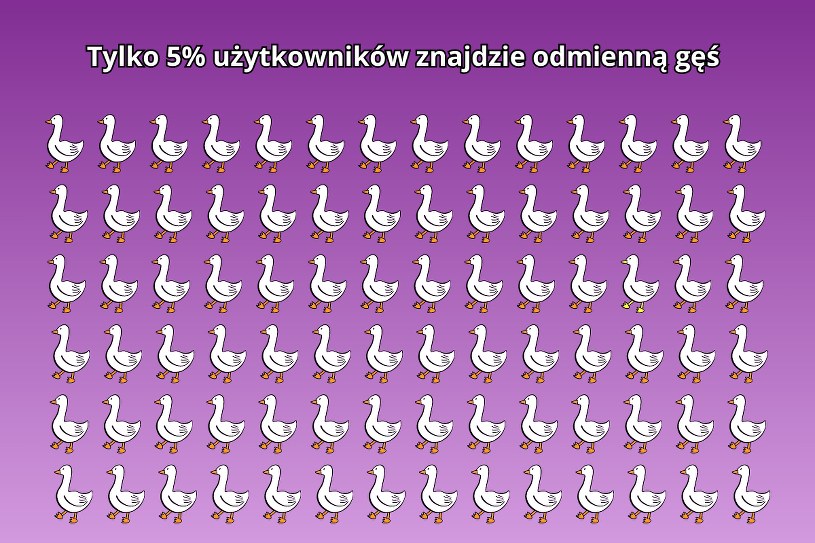 Zadanie na spostrzegawczość. 95 proc. użytkowników na nim poległo