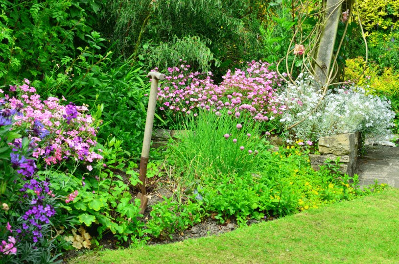 Zadbaj o rośliny, by cieszyć się pięknym ogrodem /123RF/PICSEL