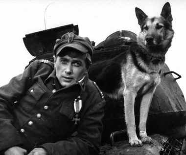 Zadebiutował rolą Pietrka w filmie "Panienka z okienka" Marii Kaniewskiej (1964), gdzie po raz pierwszy spotkał się na ekranie z Polą Raksą, swoją późniejszą narzeczoną w serialu "Czterej pancerni i pies". Rola Janka Kosa okazała się wielkim sukcesem aktora, lecz jednocześnie zaszufladkowała go i sprawiła, że nie mógł znaleźć dla siebie miejsca w filmach.

W 2016 roku aktor ujawnił, że tylko raz w karierze wziął udział w castingu. "To było wtedy, gdy zdobyłem rolę blond bohatera" - żartował.