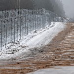 Zadośćuczynienie dla wolontariuszki zatrzymanej przy granicy z Białorusią