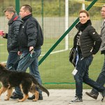 Zadowolony Kamil Durczok na spacerze z żoną i psem. Spotkał się z dziennikarzami "Faktów"!