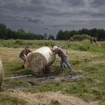 Zadziwiająca konstrukcja na Podlasiu. Co zbudowali rolnicy?