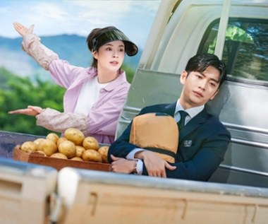 Zadziwiająca propozycja Netfliksa. Serial o miłości i... ziemniakach!