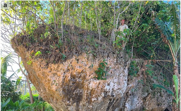 Zadziwiające odkrycie! Głaz w Tonga przesunięty przez falę tsunami