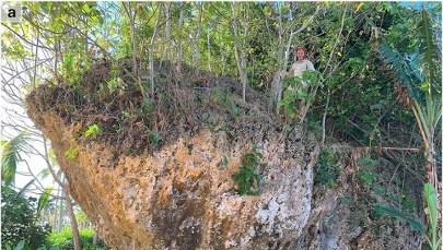Zadziwiające odkrycie! Głaz w Tonga przesunięty przez falę tsunami