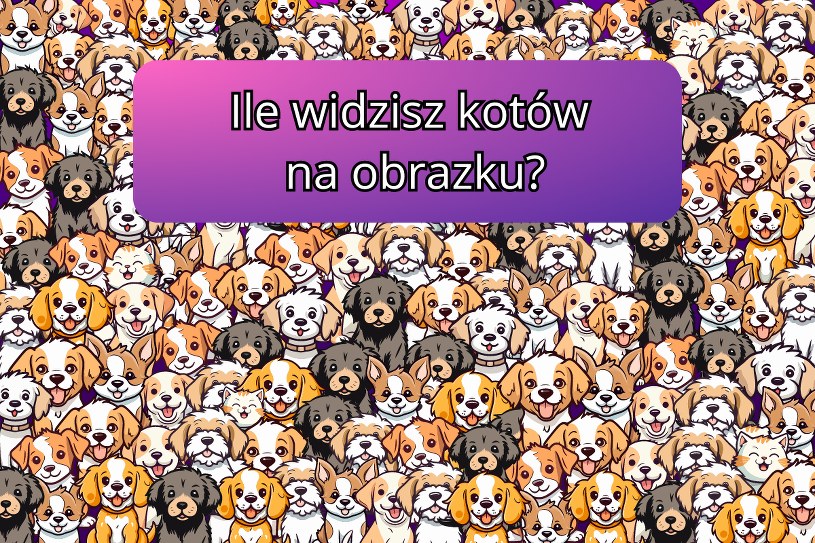 Zagadka dla spostrzegawczych. Ile znajdziesz kotów na obrazku? Tylko 1% użytkowników zna odpowiedź