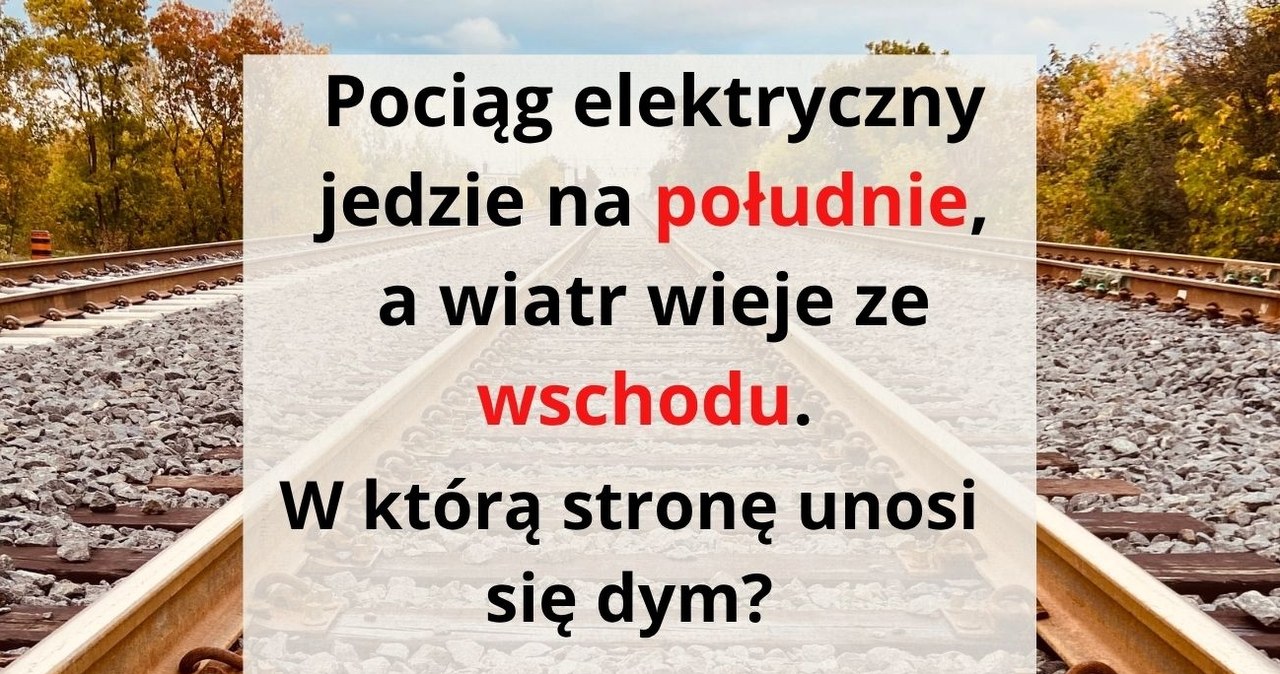 Zagadka logiczna, która sprawdzi twoją spostrzegawczość i spryt /Canva Pro /Canva Pro