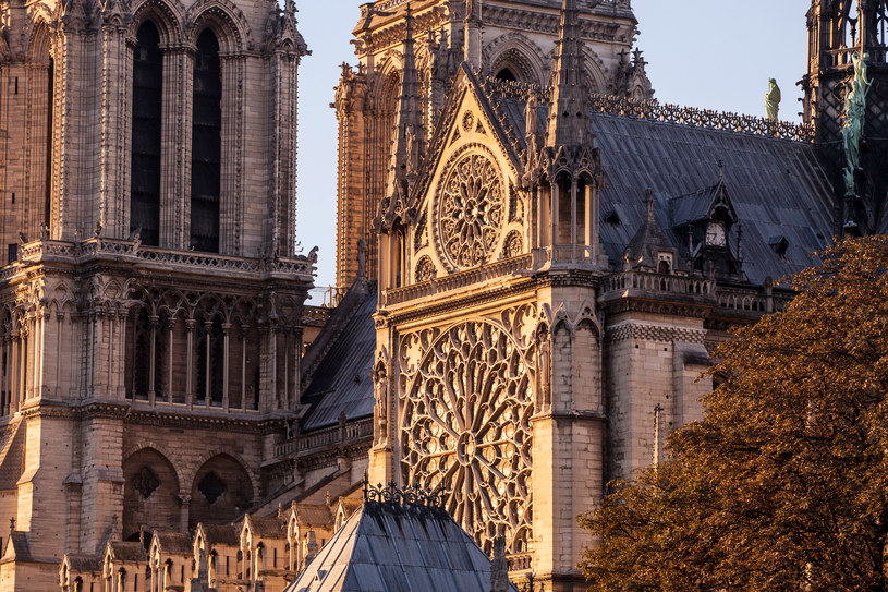 Zagadka monumentalności Notre Dame wyjaśniona