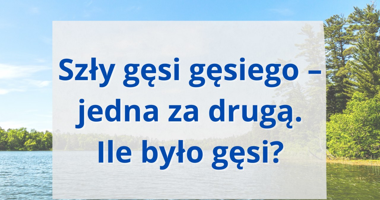 Zagadka na logiczne myślenie. Rozwiążesz? /Canva Pro