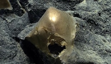 Zagadka tajemniczej "złotej kuli" z głębin rozwiązana 