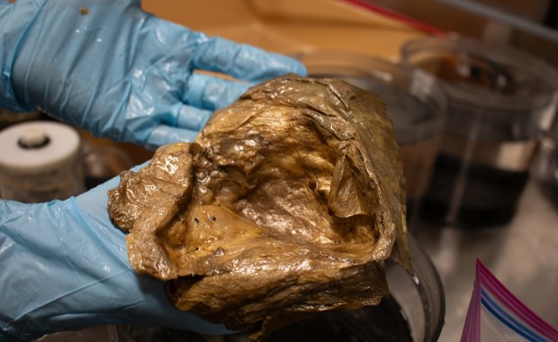 Zagadka "złotej kuli" z dna oceanu rozwiązana. Naukowcy wiedzą, co to jest