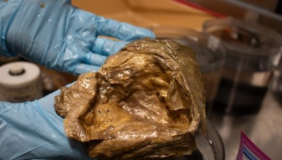 Zagadka "złotej kuli" z dna oceanu rozwiązana. Naukowcy wiedzą, co to jest