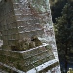 Zagadkowa budowla w podkieleckim lesie budzi emocje. Ten obiekt to unikat