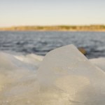 Zagadkowe zajęcie leśników. Po co im bryły lodu w środku zimy?