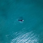 Zaginął bez śladu, odnaleziony na wyspie. Nastoletni surfer przeżył noc grozy