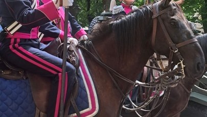Zaginął koń ułanów. Niecodzienne poszukiwania w Krakowie