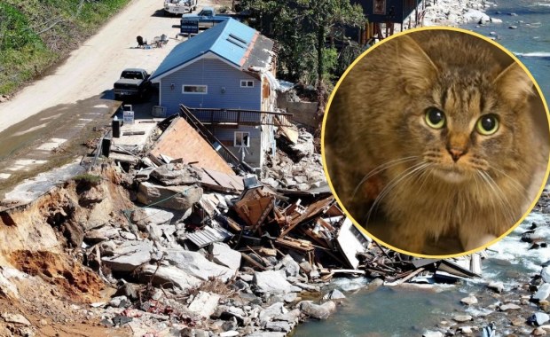 Zaginęła podczas huraganu, wróciła po 443 dniach. "Prawdziwy świąteczny cud"