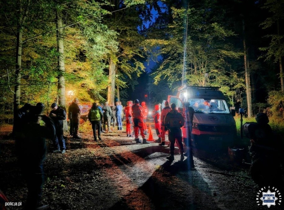 Zaginioną nastolatkę z Daleszyc odnaleziono rano. /KWP Kielce /