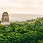 Zaginione miasto sprzed 3000 lat. Dżungla odsłoniła swoją tajemnicę