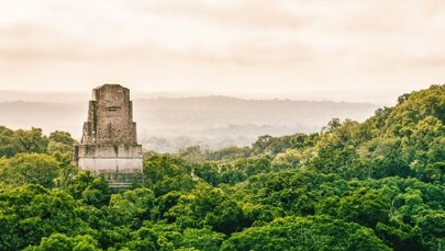 Zaginione miasto sprzed 3000 lat. Dżungla odsłoniła swoją tajemnicę
