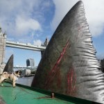 Megalodon Zaginiony ogromny rekin odnaleziony. Wreszcie można ustalić jego rozmiary