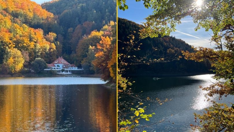 Zagórze Śląskie – jesienna magia na Dolnym Śląsku. Odkryj miejsce, które zachwyca kolorami i historią! /Martyna Czerwińska /RMF FM