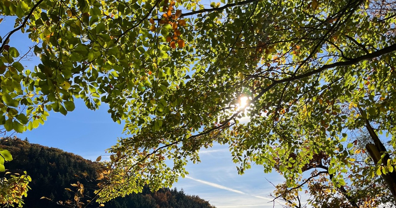 Zagórze Śląskie – jesienna magia na Dolnym Śląsku. 