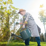 Zagotuj i podlej grządki. Turkuć podjadek wyniesie się do sąsiada