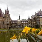 Zagraniczni turyści są nim zachwyceni. Ten zamek najlepiej odwiedzić wiosną