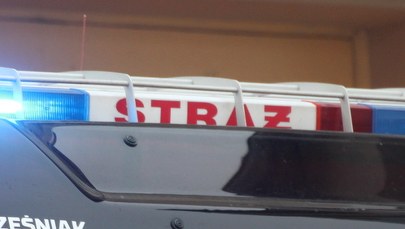 Zagrożenie gazowe w Śląskiem. Kilka akcji strażaków w województwie