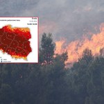 Zagrożenie pożarowe w lasach. Ostrzeżenia IMGW i straży pożarnej