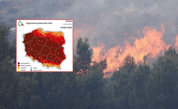 Zagrożenie pożarowe w lasach. Ostrzeżenia IMGW i straży pożarnej
