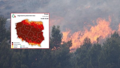 Zagrożenie pożarowe w lasach. Ostrzeżenia IMGW i straży pożarnej