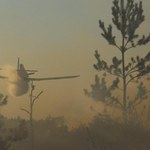 Zagrożenie pożarowe w lasach. Służby proszą o ostrożność